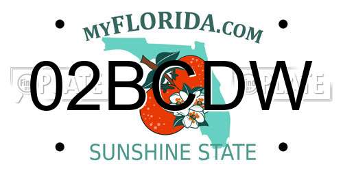 02BCDW Florida License Plate