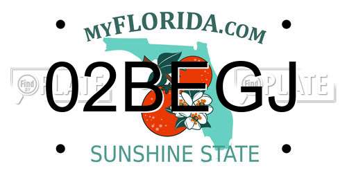 02BEGJ Florida License Plate