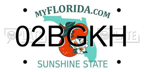 02BGKH Florida License Plate