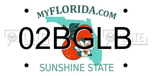 02BGLB Florida License Plate