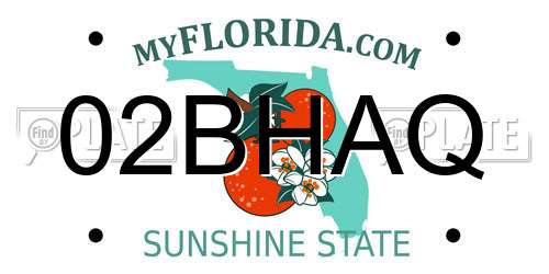 02BHAQ Florida License Plate