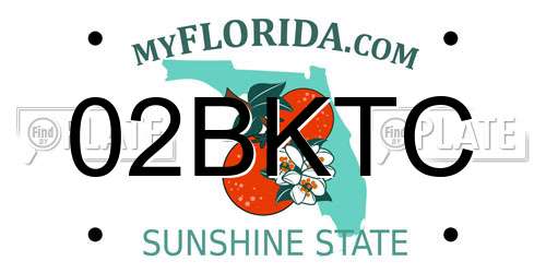 02BKTC Florida License Plate