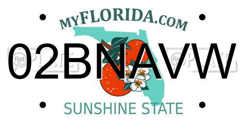 02BNAVW Florida License Plate