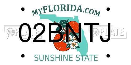 02BNTJ Florida License Plate
