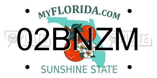 02BNZM Florida License Plate