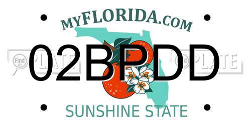 02BPDD Florida License Plate