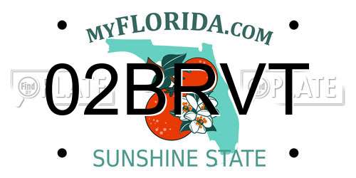 02BRVT Florida License Plate