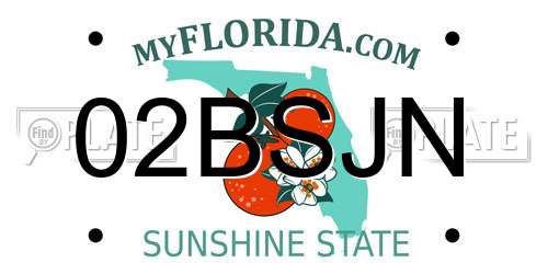 02BSJN Florida License Plate