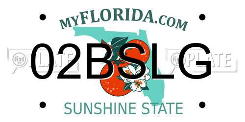 02BSLG Florida License Plate