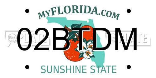 02BTDM Florida License Plate