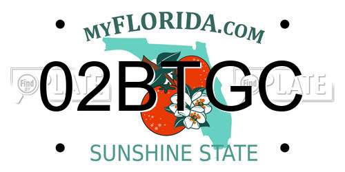 02BTGC Florida License Plate