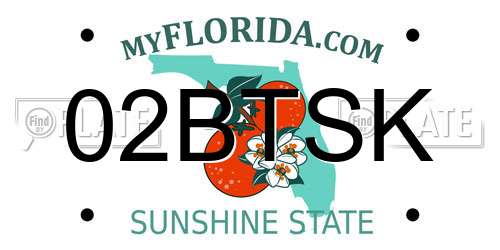 02BTSK Florida License Plate