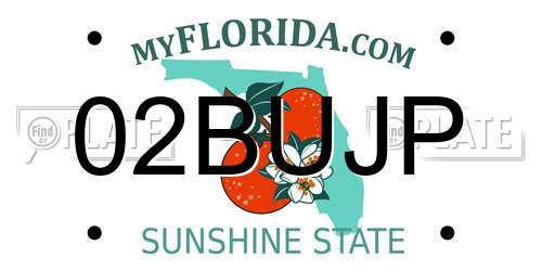 02BUJP Florida License Plate