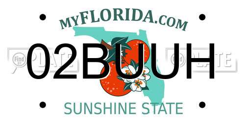 02BUUH Florida License Plate