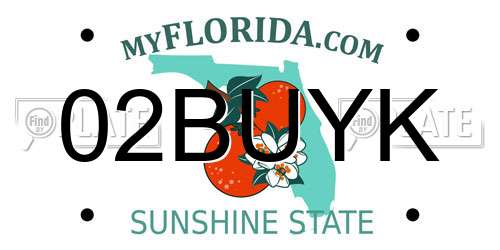 02BUYK Florida License Plate