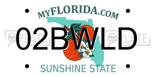 02BWLD Florida License Plate