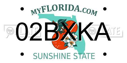 02BXKA Florida License Plate