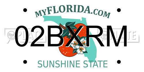 02BXRM Florida License Plate