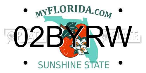 02BYRW Florida License Plate