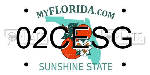 02CESG Florida License Plate