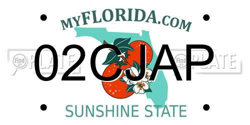 02CJAP Florida License Plate