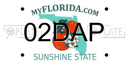 02DAP Florida License Plate