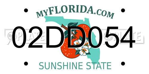 02DD054 Florida License Plate