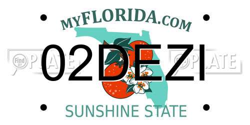 02DEZI Florida License Plate