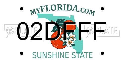 02DFFF Florida License Plate