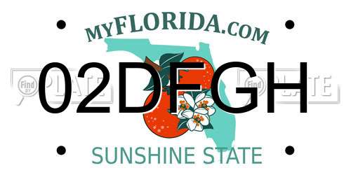 02DFGH Florida License Plate