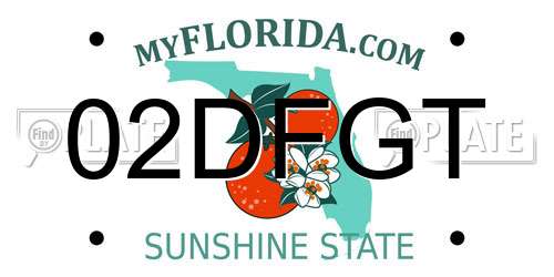 02DFGT Florida License Plate