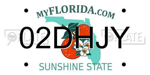02DHJY Florida License Plate