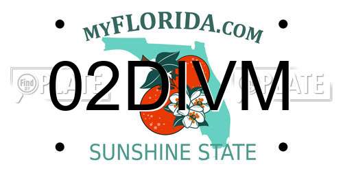02DIVM Florida License Plate