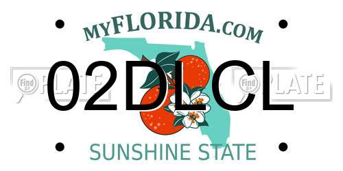02DLCL Florida License Plate