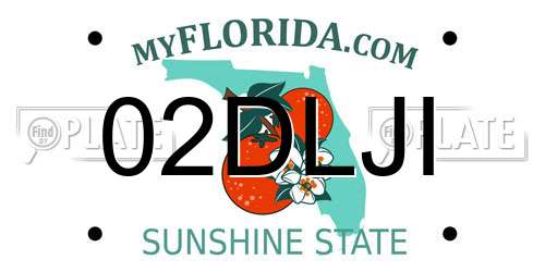 02DLJI Florida License Plate
