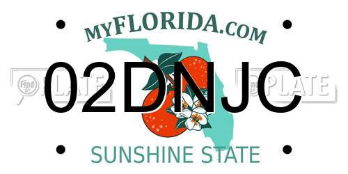 02DNJC Florida License Plate