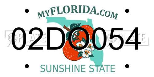 02DO054 Florida License Plate
