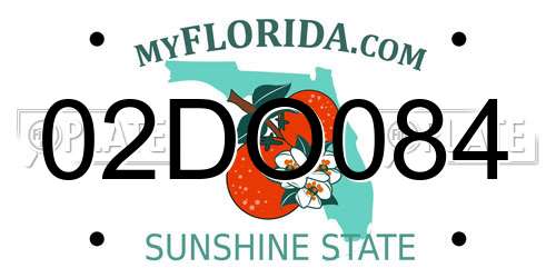 02DO084 Florida License Plate