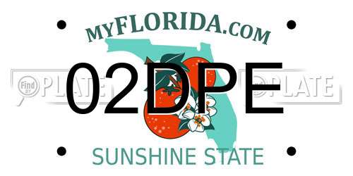 02DPE Florida License Plate