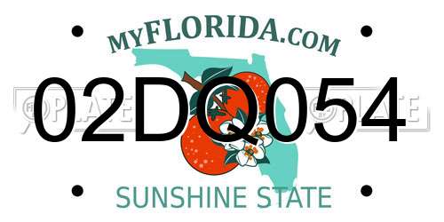 02DQ054 Florida License Plate