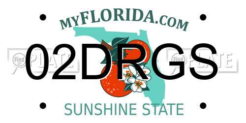 02DRGS Florida License Plate