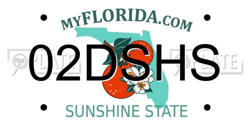 02DSHS Florida License Plate