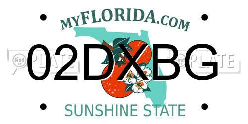 02DXBG Florida License Plate