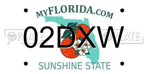 02DXW Florida License Plate