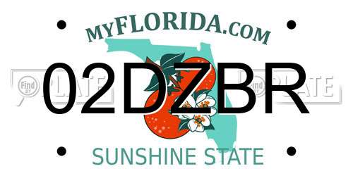 02DZBR Florida License Plate