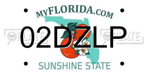 02DZLP Florida License Plate