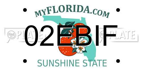 02EBIF Florida License Plate