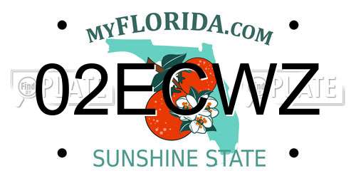 02ECWZ Florida License Plate