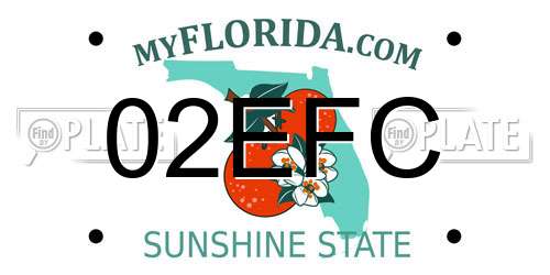 02EFC Florida License Plate
