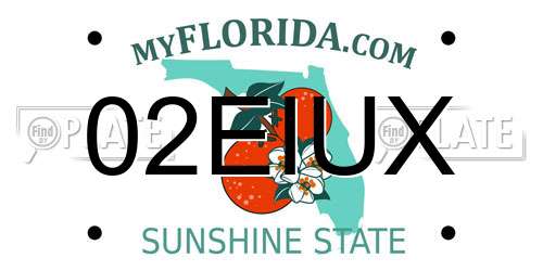 02EIUX Florida License Plate